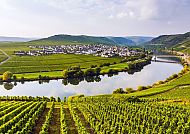 Mosel-Landschaft, Idyllische Mosel-Landschaft mit Weinbergen und Fluss.