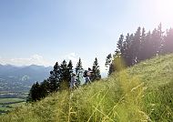 Heilklimawandern am Blomberg, Heilklimawandern am Blomberg mit Blick auf die Alpen., Heilklimawandern am Blomberg bei strahlendem Sonnenschein.