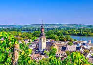 Rüdesheim am Rhein mit Weinbergen und malerischer Landschaft.