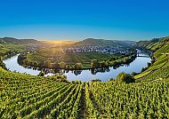 Ausflugstipp: Moselschleife, Moselschleife bei Sonnenuntergang, umgeben von Weinbergen.
