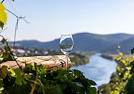 Genüsse an der Mosel, Weinglas mit Blick auf die Mosel und malerische Weinberge.