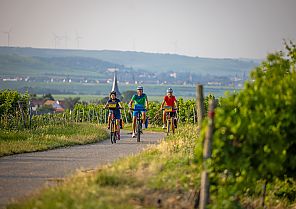 Radreise: Pfälzer Weinsternfahrt