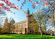 Wormser Dom im Frühling, umgeben von blühenden Kirschbäumen.