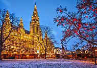 Wien, Wiener Rathaus im festlichen Weihnachtsglanz an der Donau.