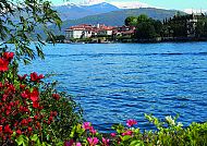 Lago Maggiore, Locarno am Lago Maggiore, blühende Ufer und Alpenpanorama., Blühende Uferlandschaft am Lago Maggiore mit Blick auf Locarno.