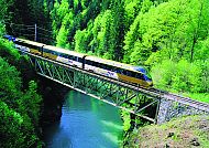 Gold Pass Line überquert eine Brücke in grüner Herbstlandschaft.