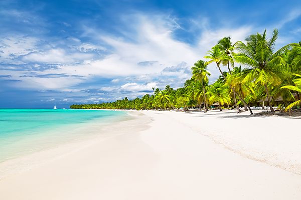 Karibiktraum: Weißer Sand, türkisblaues Meer, Palmenparadies