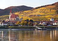 Weißenkirchen im Herbst, Donau und Weinberge in goldenem Licht
