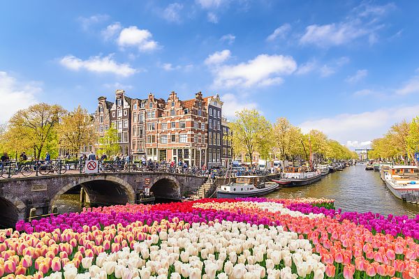 Bunte Tulpen vor Amsterdamer Grachten und historischen Gebäuden.