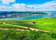 Weinberge in Rüdesheim mit Blick auf den Rhein.