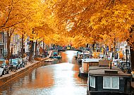 , Amsterdam im goldenen Herbst mit malerischer Kanalansicht.
