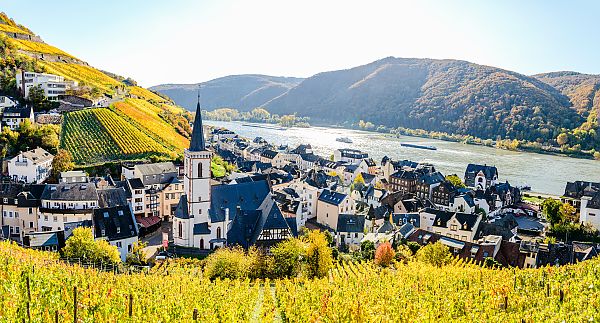 , Rüdesheim im Herbst, malerische Weinberge und Rheinblick.