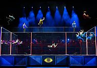 Cirque du Soleil Alizé im Theater am Potsdamer Platz