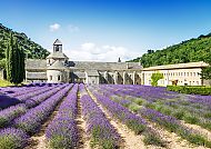 Abtei von Sénanque, Abtei von Sénanque mit blühenden Lavendelfeldern in der Provence.