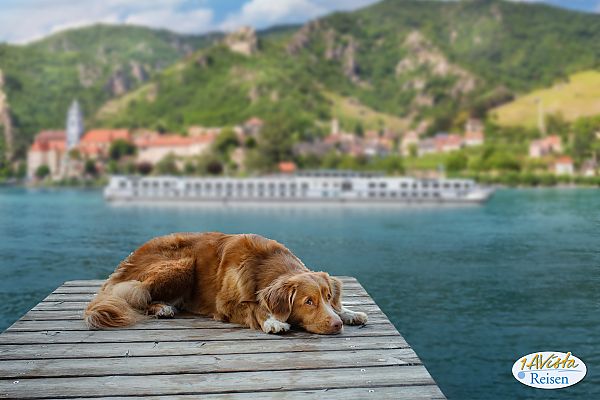 , Entspannter Hund auf Steg mit Flusskreuzfahrt im Hintergrund., Entspannter Hund genießt die Aussicht auf Rhein & Main 2027.