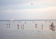 Büsum-Wattwandern-Meer-Horizont, Wattwanderer genießen die Weite des Meeres bei Büsum., Wattwanderer genießen das Meer bei Büsum unter weitem Himmel.