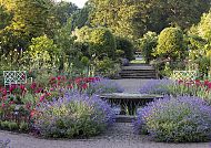 RHS Wisley, Blühende Gartenlandschaft in RHS Wisley mit Lavendel und Rosen.