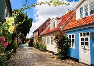 Arhus, Idyllische Gasse in Århus mit bunten Häusern und Blumen., Charmante, blumenreiche Gasse in Arhus, Dänemark.