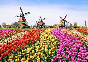 Tulpenzauber & Wasserwelten der Niederlande