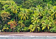 Tropischer Strand mit Palmen in Puntarenas, Costa Rica.