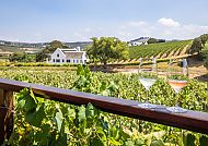 , Weinberge in Stellenbosch mit zwei Gläsern Wein auf einem Geländer.