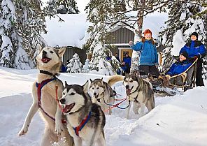 Auf Nordlichtsuche in Finnland Auf Nordlichtsuche in Finnland