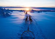 Auf Nordlichtsuche in Finnland, Hundeschlittenfahrt im finnischen Winter bei Sonnenuntergang., Hundeschlittenfahrt bei Sonnenuntergang in der finnischen Winterlandschaft.