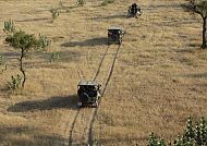 Safari im Ranthambhore-Nationalpark, Safari-Abenteuer im indischen Nationalpark.