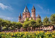 Mainzer Dom mit blühenden Blumen im Vordergrund.