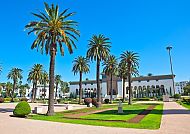 , Grüner Platz mit Palmen und klassischer Architektur in Casablanca., Palmen und Architektur in Casablanca bei strahlend blauem Himmel.