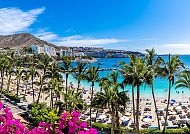 , Strand und Palmen in Las Palmas, Spanien, unter strahlend blauem Himmel., Strand von Las Palmas mit Palmen und blauem Meer unter klarem Himmel.