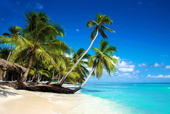 Paradiesischer Karibikstrand mit Palmen und türkisblauem Meer