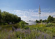 Planten un Bloomen in Hamburg, Planten un Blomen in Hamburg mit Fernsehturm und blühenden Gärten., Planten un Blomen Park mit Heinrich-Hertz-Turm in Hamburg.