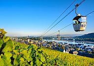 Rüdesheim: Aussicht über die Stadt mit der Gondelbahn;, Oberes Mittelrheintal