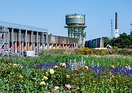 Zukunftsgarten Duisburg IGA 2027 im Ruhrgebiet