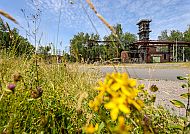 Zukunftsgarten Dortmund IGA 2027 Ruhrgebiet KokereiHansa