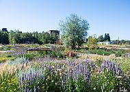Zukunftsgarten Dortmund IGA 2027 Ruhrgebiet
