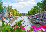 Entdecken Sie Amsterdam in Frühling - auf zur Tulpenblüte!