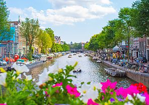 Amsterdam zur Tulpenblüte