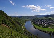 Blick auf die Mosel