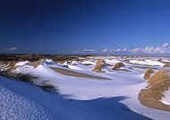 Dünen im Schnee