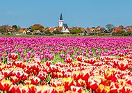 Hoorn