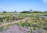 Zukunftsgarten Duisburg IGA 2027 im Ruhrgebiet