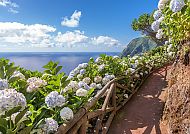 Sao Miguel