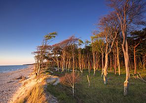 Zingst: Die Perle der Ostsee