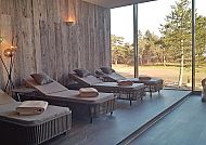 Sante Royale Rügen, Panoramasauna
