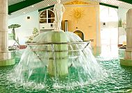 Hotel Birkenhof, Therme