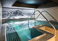 Hotel Seehof Pool