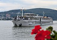 Außenansicht MS Olympia, MS Olympia auf dem Fluss vor grüner Hügellandschaft., MS Olympia auf ruhiger Flussfahrt vor grüner Hügellandschaft.