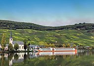 MS Rio in Piesport, MS Rio in Piesport vor malerischer Weinbergkulisse., MS Rio in Piesport vor malerischer Weinbergkulisse.